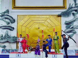 Virtual Wushu Champions ship (2020)